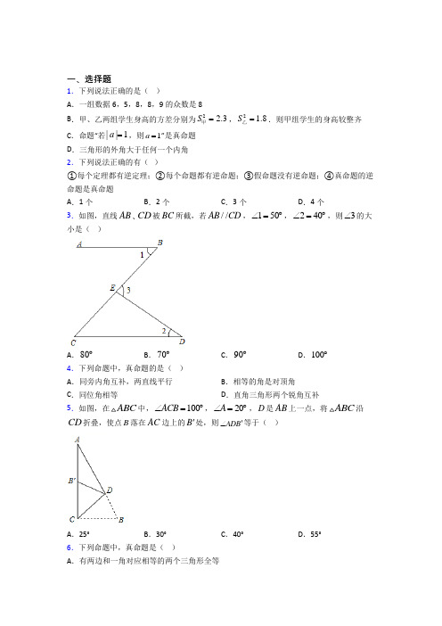 (压轴题)初中数学八年级数学上册第七单元《平行线的证明》测试卷(包含答案解析)(4)