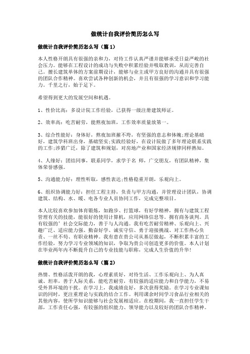 做统计自我评价简历怎么写