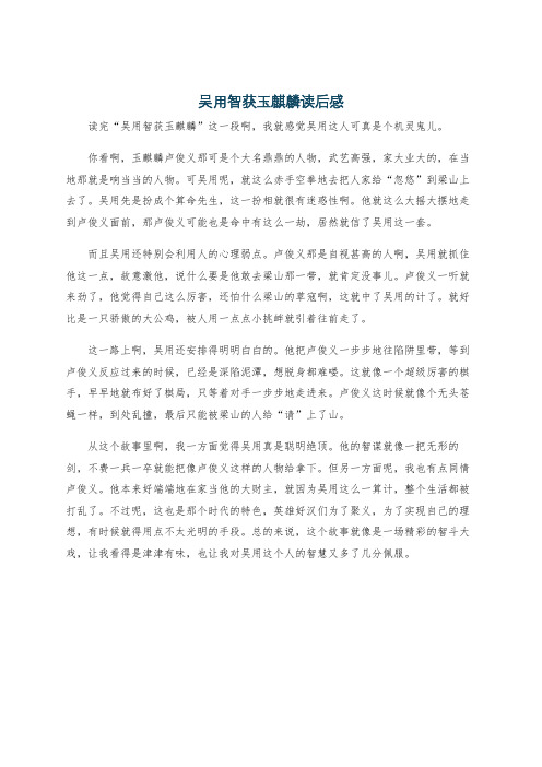 吴用智获玉麒麟读后感