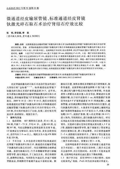 微通道经皮输尿管镜、标准通道经皮肾镜钬激光碎石取石术治疗肾结石疗效比较