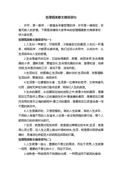 哲理精美散文摘录语句