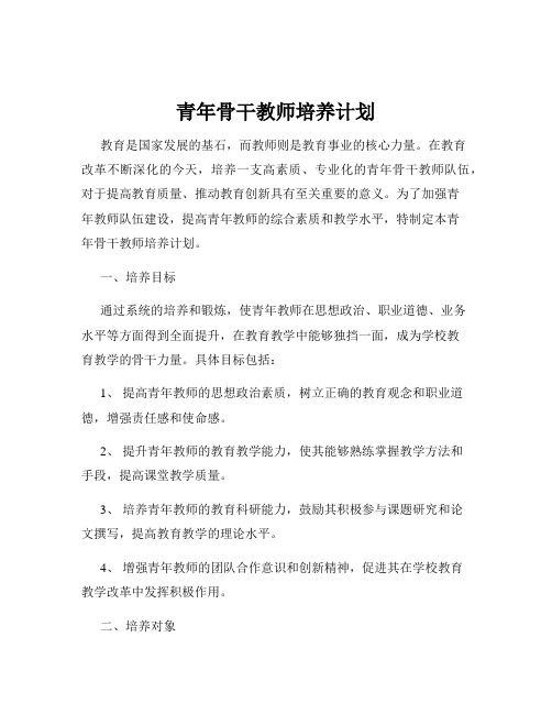 青年骨干教师培养计划