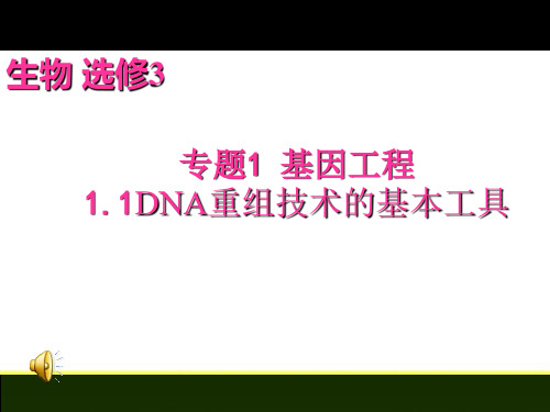 DNA重组技术的基本工具