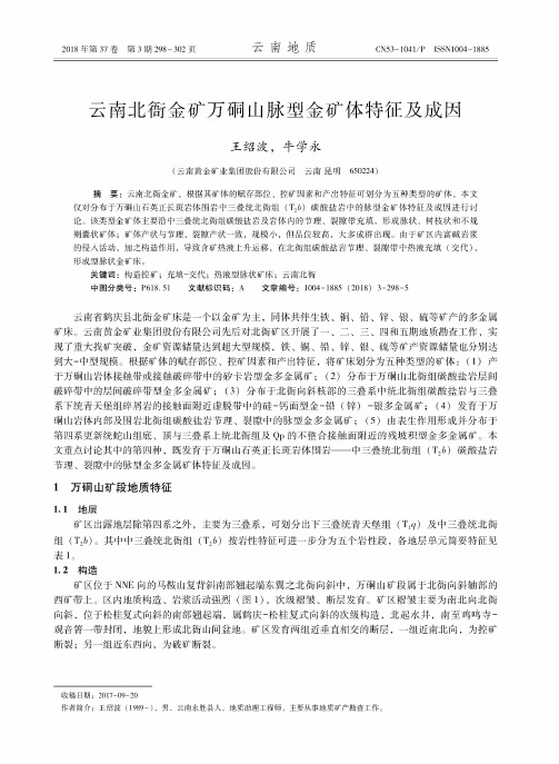 云南北衙金矿万硐山脉型金矿体特征及成因