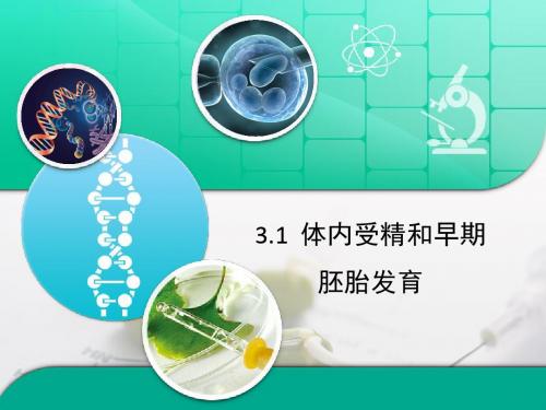 人教版高中生物选修3 3.1《体内受精和早期胚胎发育》复习课件