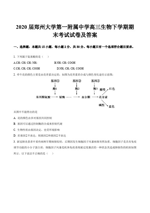 2020届郑州大学第一附属中学高三生物下学期期末考试试卷及答案