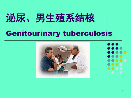 泌尿、男生殖系结核PPT课件