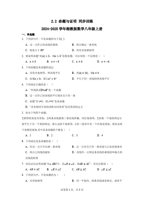 2.2命题与证明同步训练2024-2025学年湘教版数学八年级上册