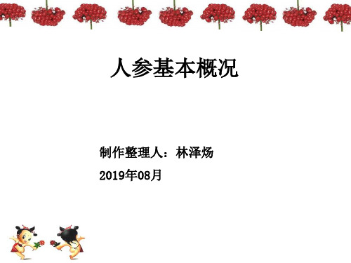 人参基本概况201908资料