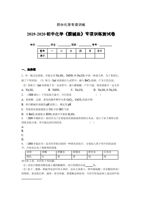 2019-2020学年初中化学《酸碱盐》专项训练模拟测试(含答案) (112)