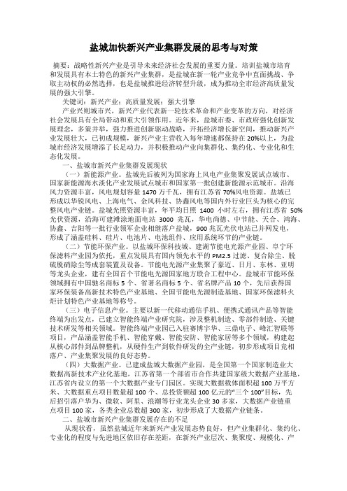 盐城加快新兴产业集群发展的思考与对策