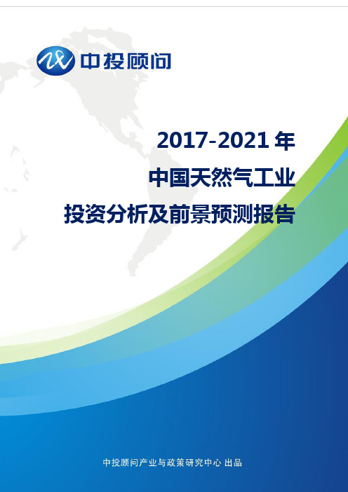 2017-2021年中国天然气工业投资分析及前景预测报告