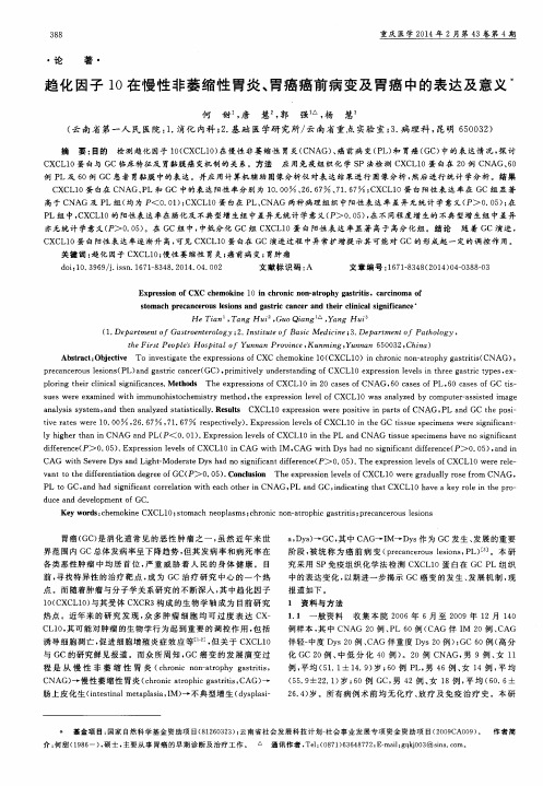 趋化因子10在慢性非萎缩性胃炎、胃癌癌前病变及胃癌中的表达及意义