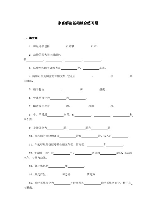 家畜解剖基础综合练习题