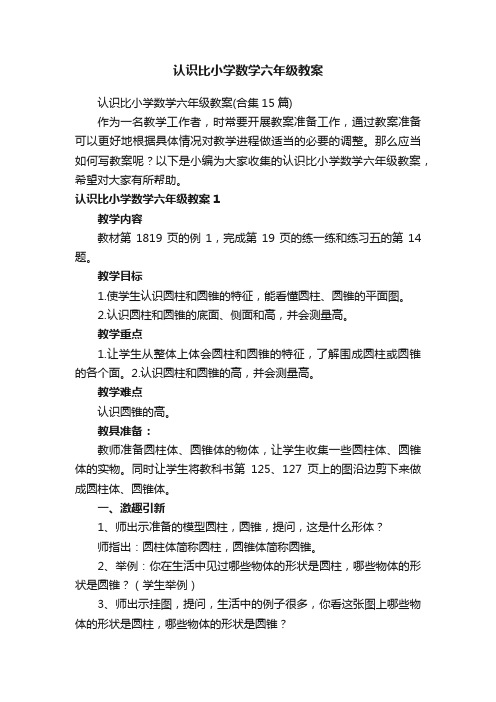 认识比小学数学六年级教案