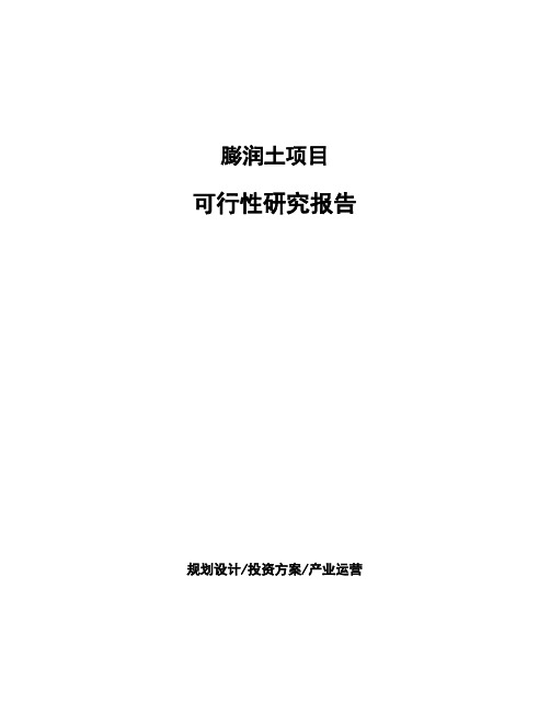 膨润土项目可行性研究报告