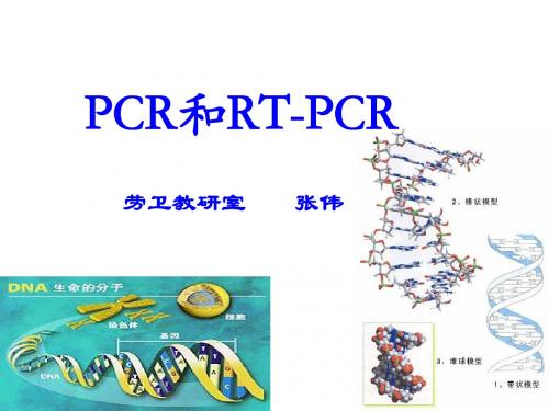 PCR和RT-PCR