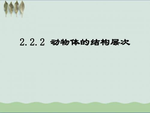 七年级生物上册2.2.2《动物体的结构层次》课件(29张ppt)(新版)新人教版