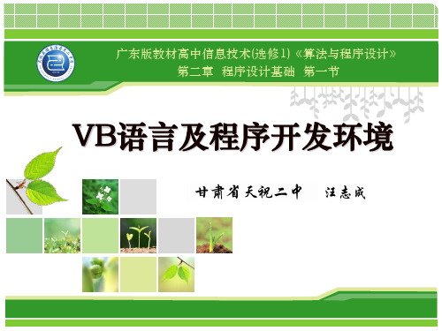 2.1VB语言及程序开发环境课件