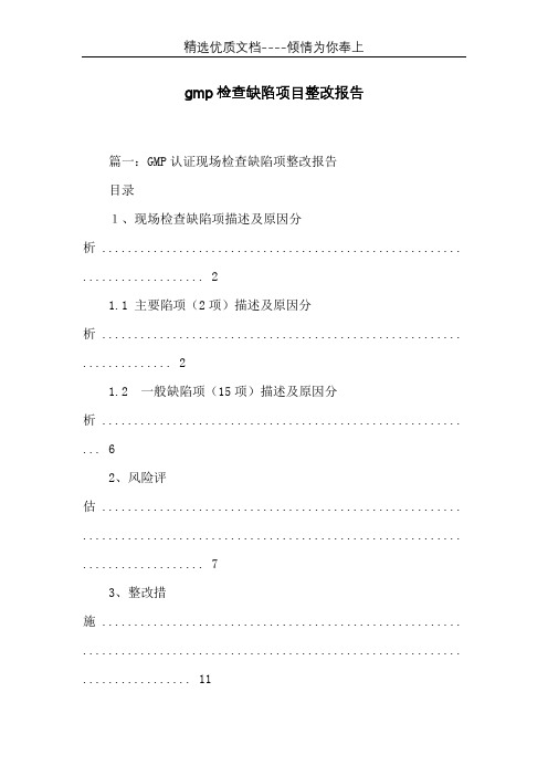 gmp检查缺陷项目整改报告(共19页)