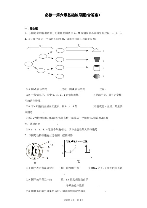 人教版高中生物必修一第6章基础练习题2022年夏季高考第一轮复习题