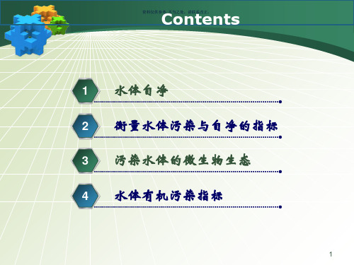 水体自净和污染水体的微生物