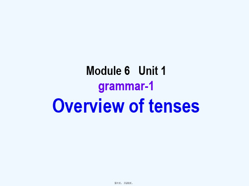 湖南师大 高中英语 M6 U1 grammar 1精品课件 牛津版选修6