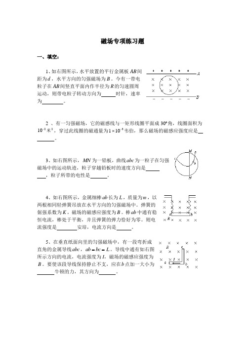 磁场专项练习题.doc