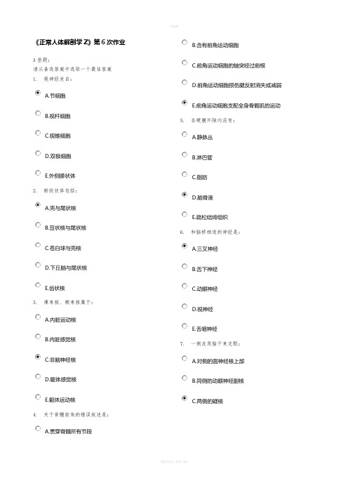 《正常人体解剖学Z》第6次作业