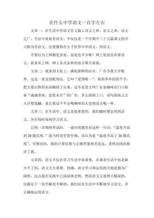 在什么中学语文一百字左右