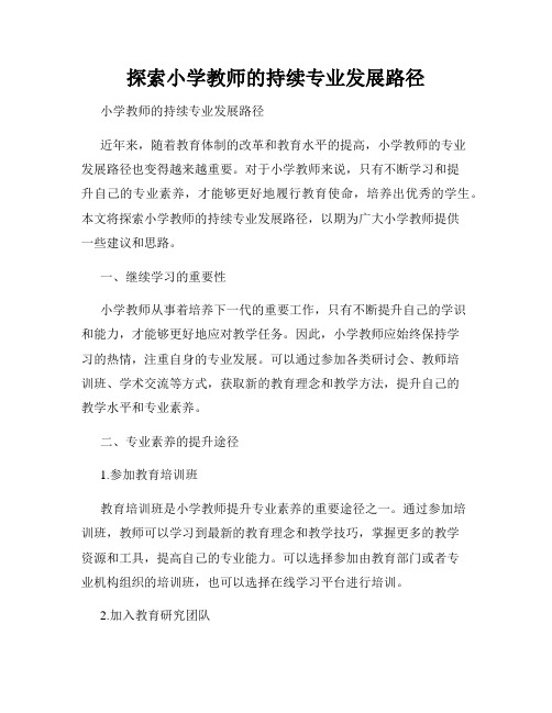 探索小学教师的持续专业发展路径