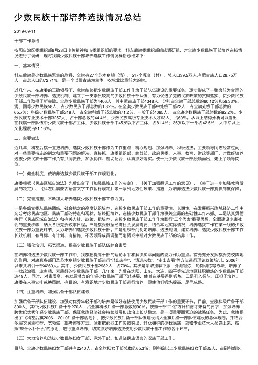 少数民族干部培养选拔情况总结