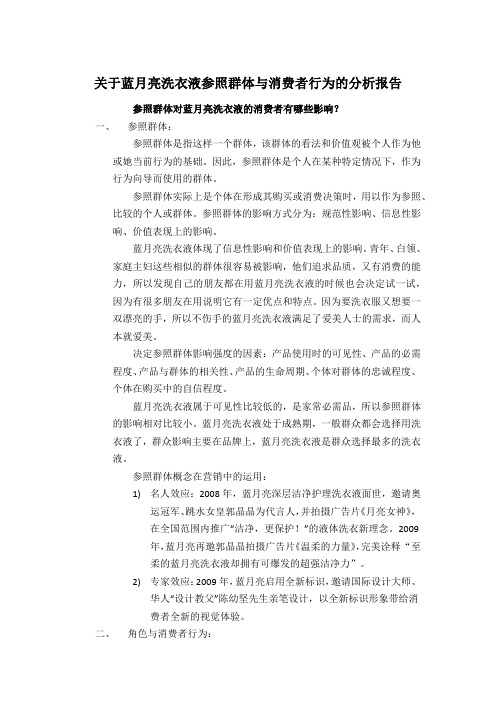 503-2 503-5关于蓝月亮洗衣液参照群体与消费者行为学的分析报告