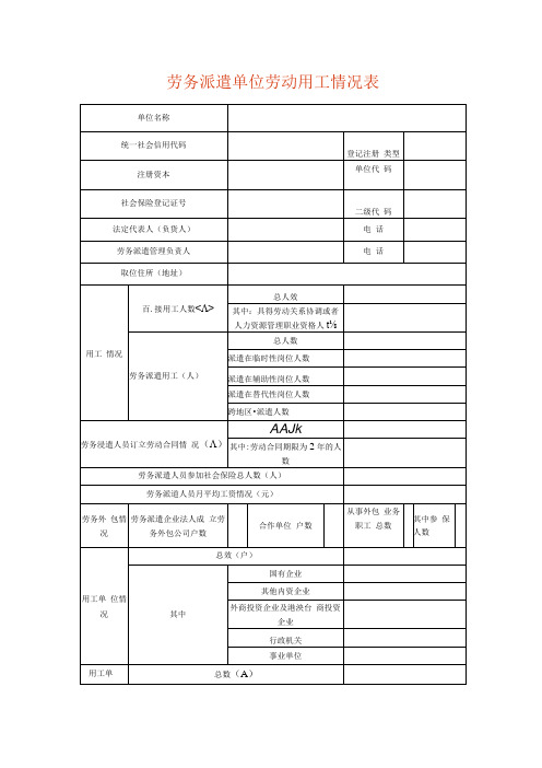 劳务派遣单位劳动用工情况表模板.docx