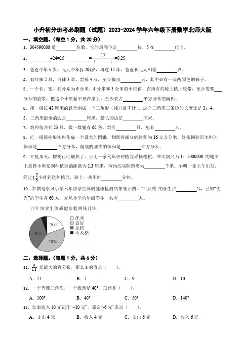 小升初分班考必刷题(试题)(含答案)2023-2024学年六年级下册数学北师大版3