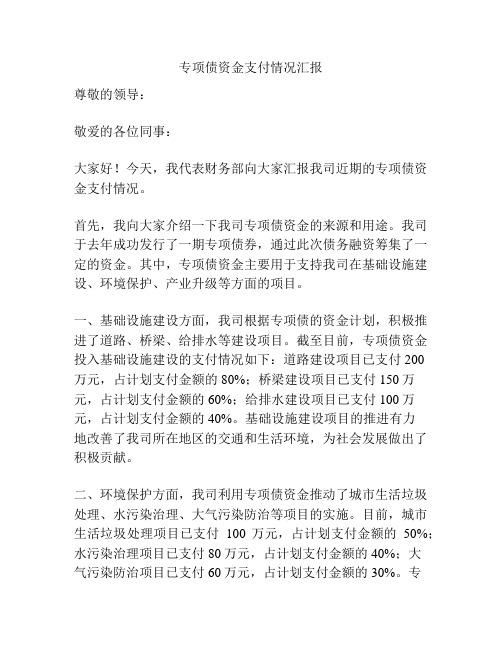 专项债资金支付情况汇报