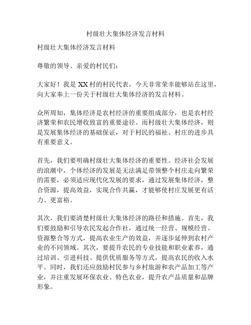 村级壮大集体经济发言材料