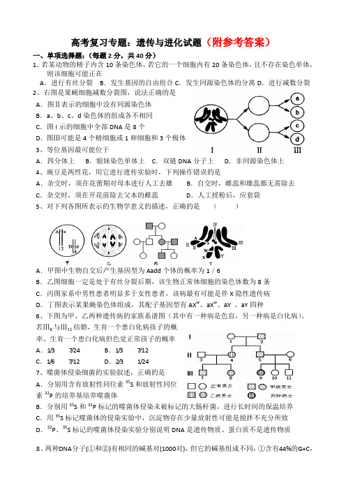 高考生物专题：遗传、变异与进化专题测试