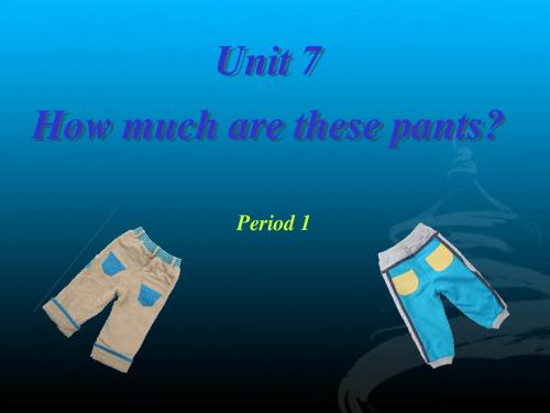 人教新目标版初中英语七年级上册 unit7how much are these pants PPT课件