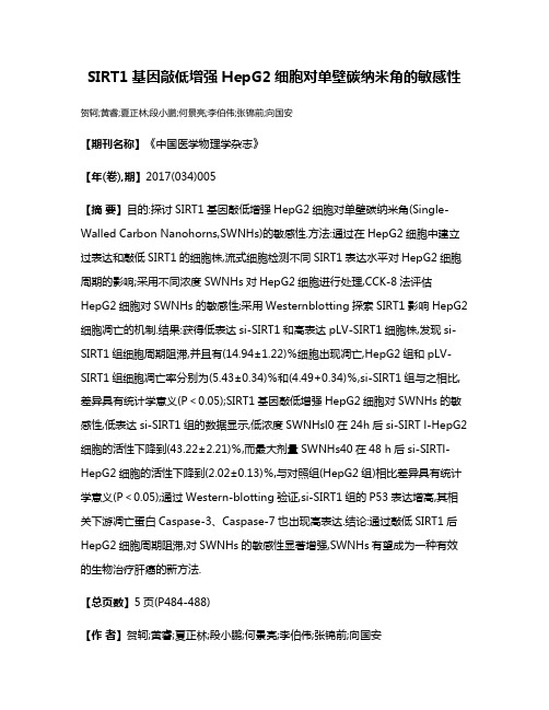 SIRT1基因敲低增强HepG2细胞对单壁碳纳米角的敏感性