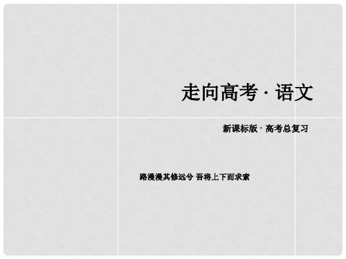 高考语文一轮总复习 专题2 识记并正确书写现代常用规范汉字课件 