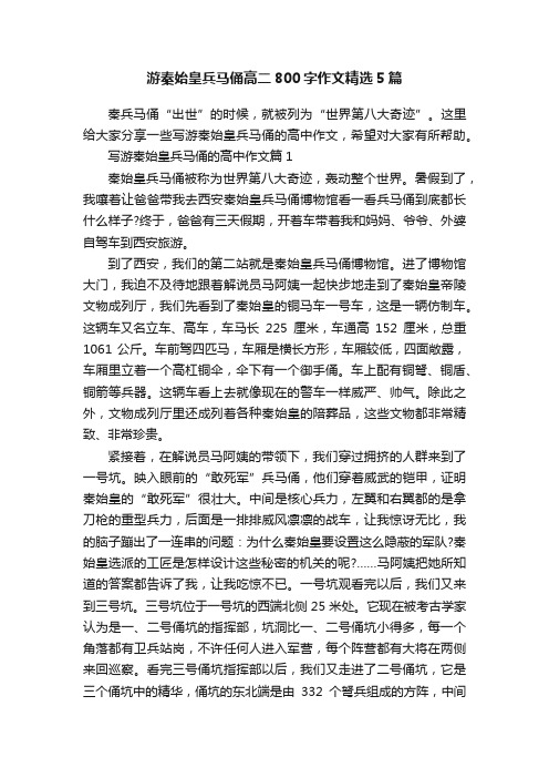 游秦始皇兵马俑高二800字作文精选5篇