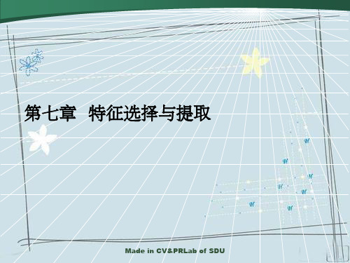 第七章特征选择与提取