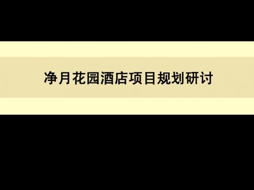 海南酒店纯独栋别墅项目规划研讨前期策划