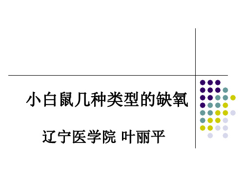 小白鼠缺氧耐受性试验