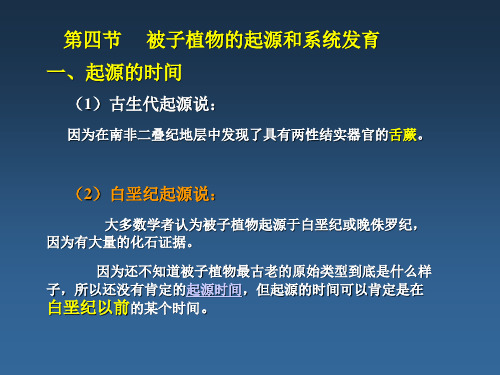 被子植物的起源和系统发育ppt