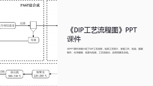 《DIP工艺流程图》课件