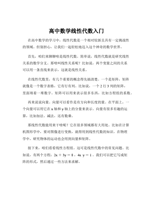 高中数学线性代数入门