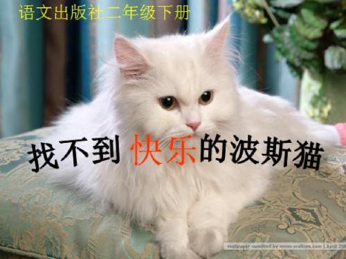 找不到快乐的波斯猫  生字教学