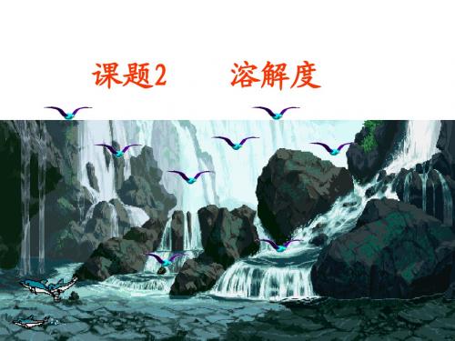 课题2  溶解度(2012秋季新人教版)